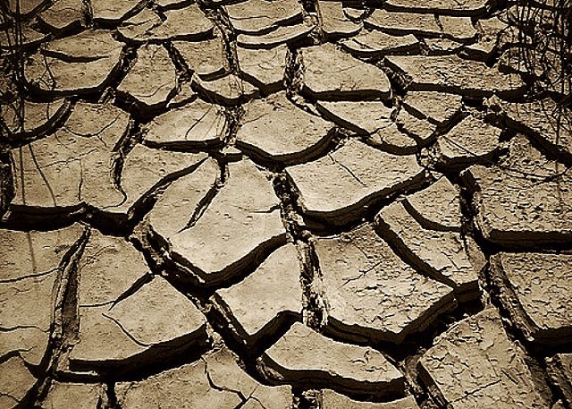 mendora ND brian dixon 2018